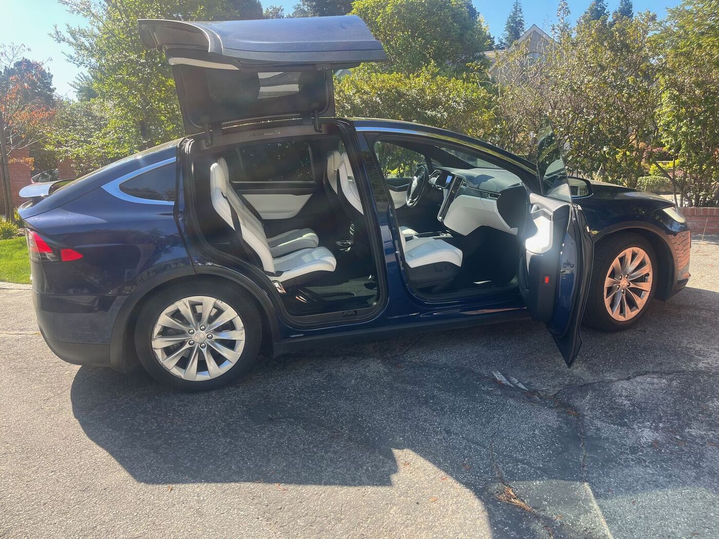 Blue Tesla Model X with falcon doors open after detailing